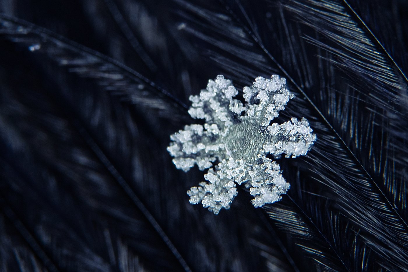 Snowflake Gets AI-Powered Observability Outfit Observe - TechRepublic